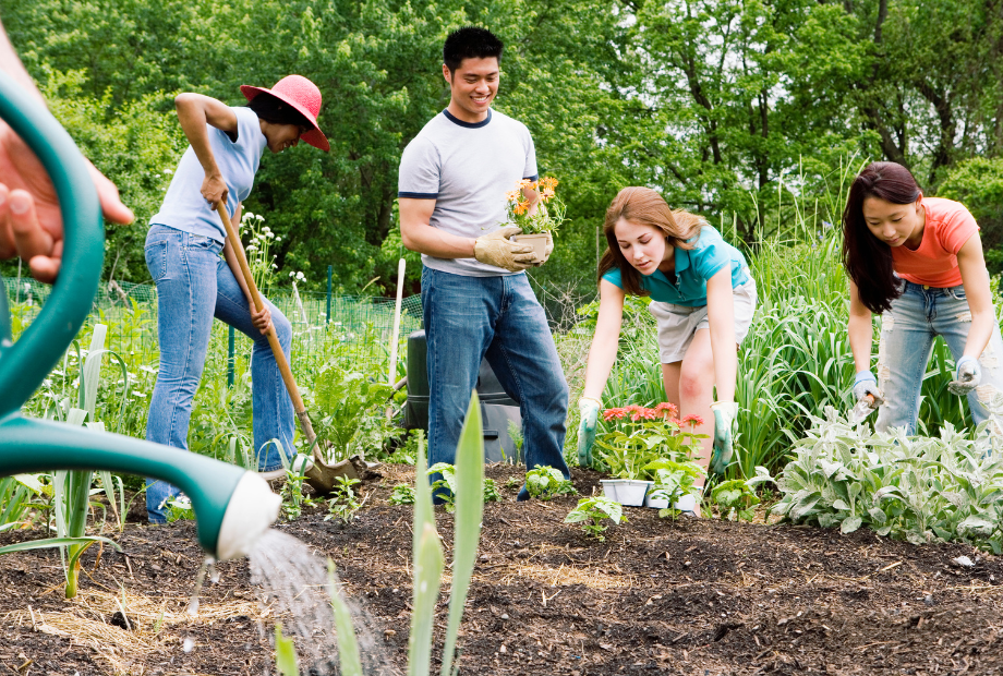 People working in a community garden