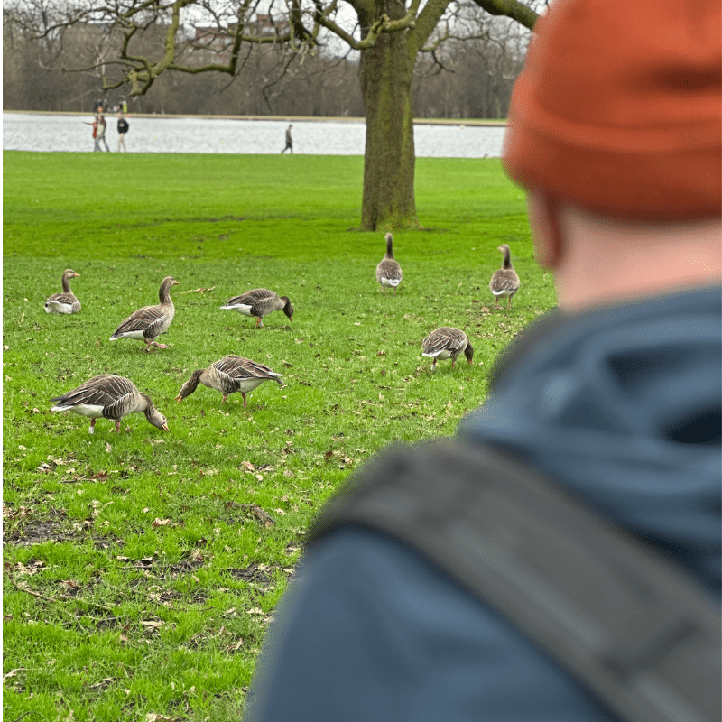 A photo looking over Antony's shoulder onto Kensington park