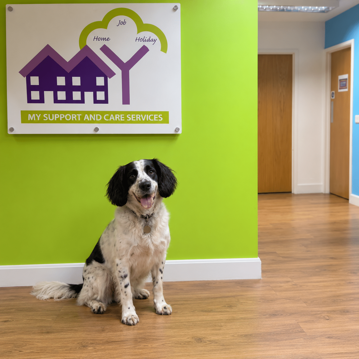 Creating more inclusive workplaces: Seetec and My Support and Care Services